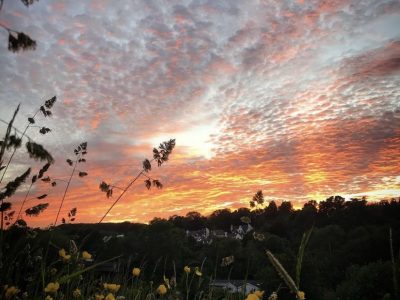 Devon - YOAS Yoga Retreats