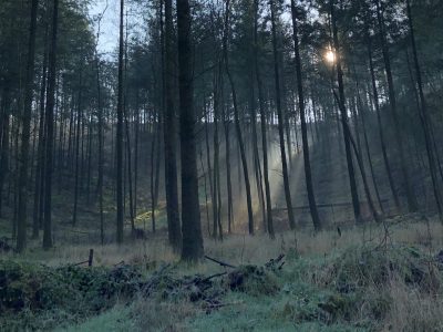 Somerset - YOAS Yoga Retreats