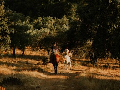 Finca el Moro - YOAS Yoga Retreats
