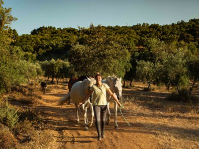 Finca el Moro - YOAS Yoga Retreats