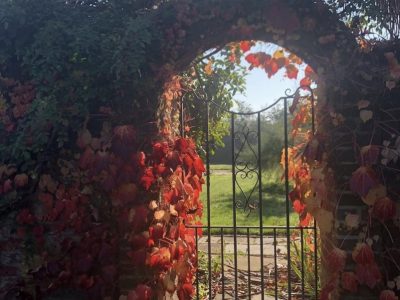 Kent - YOAS Yoga Retreats