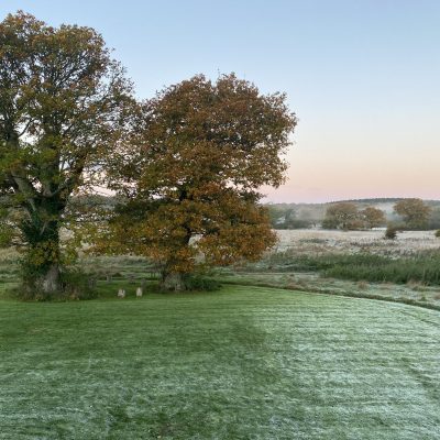 Somerset - YOAS Yoga Retreats