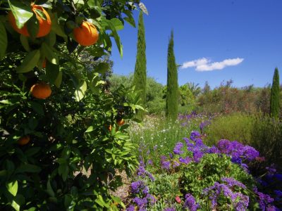 Mallorca - YOAS Yoga Retreats