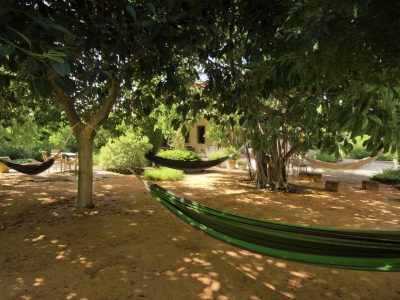 Mallorca - YOAS Yoga Retreats