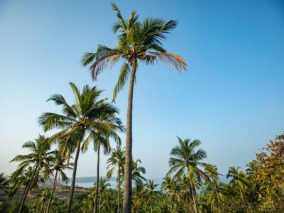 Cabo Serai - YOAS Yoga Retreats