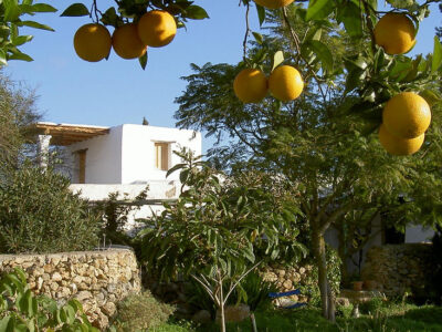 Ibiza - YOAS Yoga Retreats