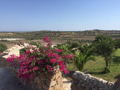 Sicily - YOAS Yoga Retreats