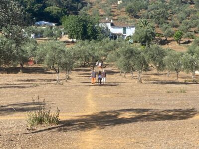 Finca el Moro - YOAS Yoga Retreats