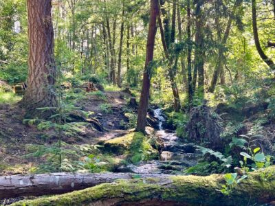 Wales - YOAS Yoga Retreats