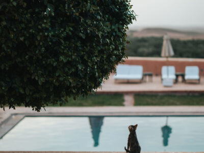 Tigmi Morocco - YOAS Yoga Retreats