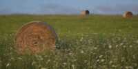 Amassa France - YOAS Yoga Retreats