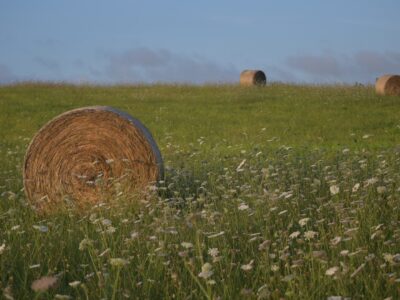 Amassa France - YOAS Yoga Retreats