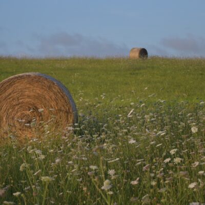 Amassa France - YOAS Yoga Retreats