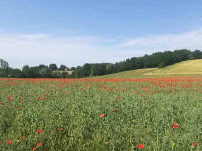Amassa France - YOAS Yoga Retreats