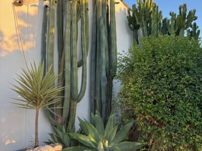 Suryalila Andalusia - YOAS Yoga Retreats