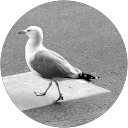 Philip C profile picture