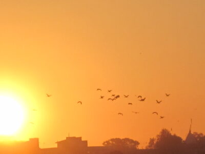 Rajasthan, India - YOAS Yoga Retreats