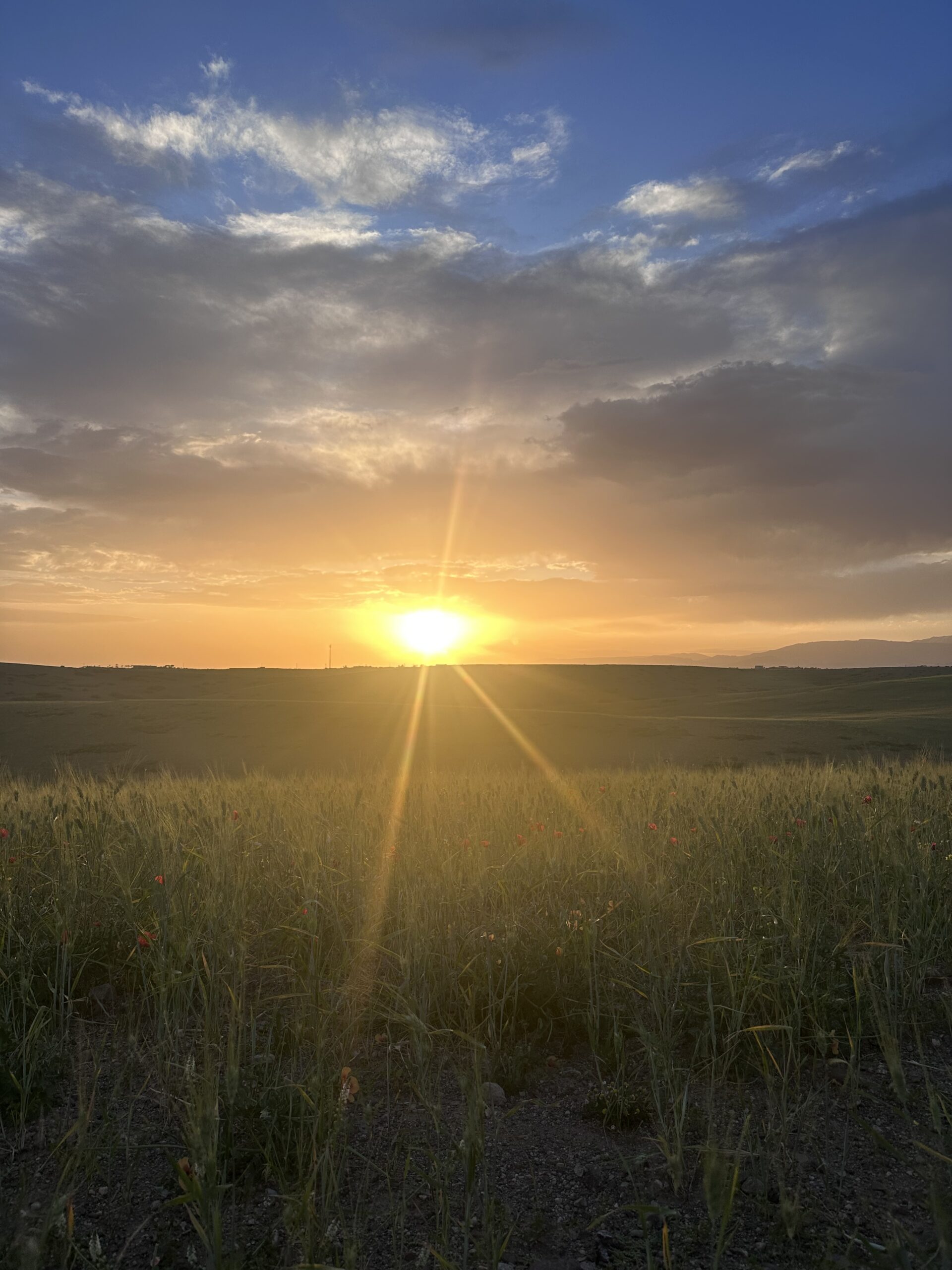 Tigmi Morocco - YOAS Yoga Retreats