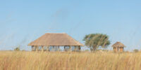 Chobe - Botswana - YOAS Yoga Retreats