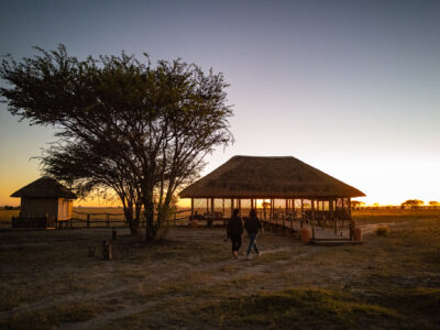Chobe - Botswana - YOAS Yoga Retreats