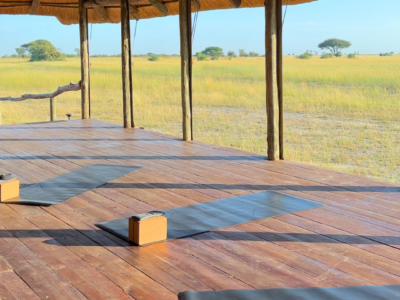 Chobe - Botswana - YOAS Yoga Retreats