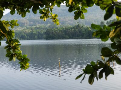 Kerala - YOAS Yoga Retreats
